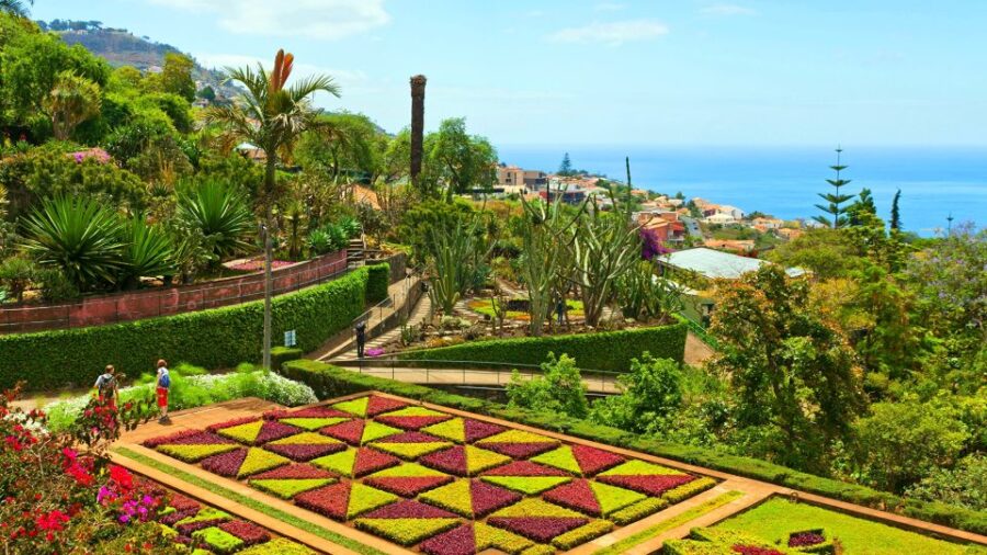 Funchal: Madeira Botanical Garden Private Tuk-Tuk Tour