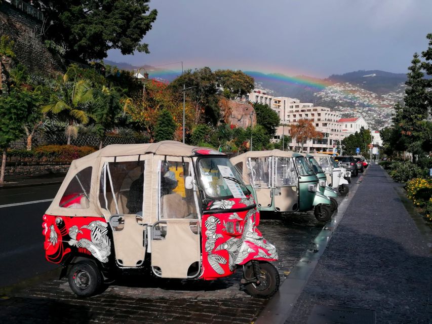 Funchal: Monte Tuk Tuk Tour to the Toboggans