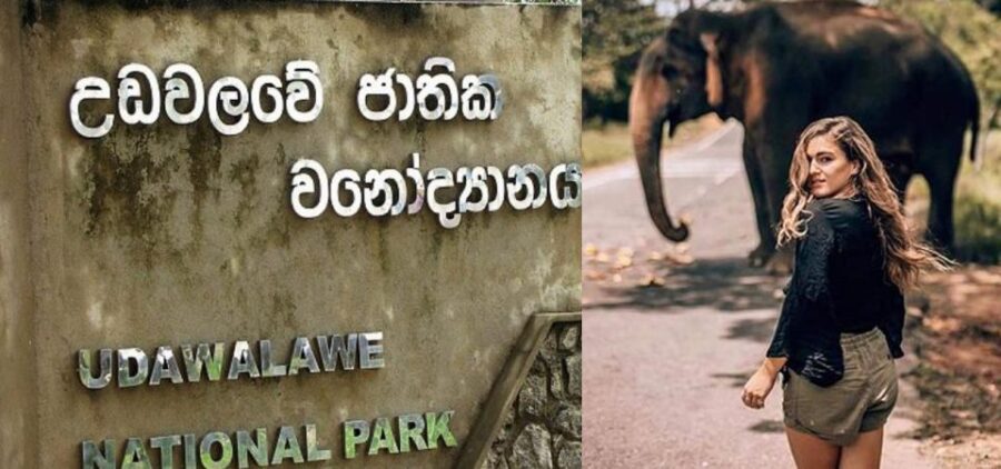 Galle (Hikkaduwa) To Udawalawe National Park Safari Tour