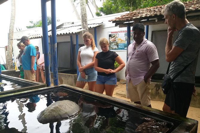 Galle Sightseeing Tour