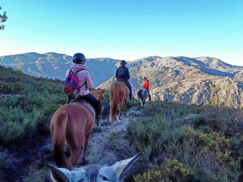 Gerês Braga: Horseback Ride in Peneda Gerês National Park