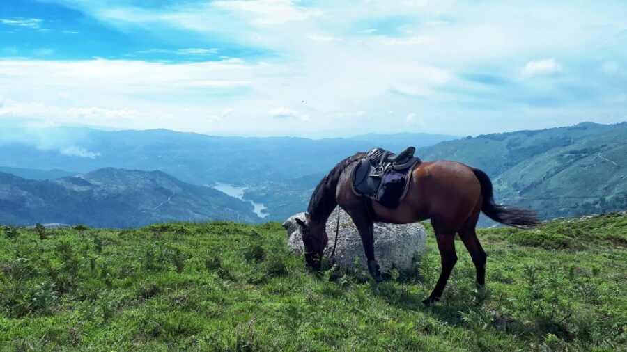 Gerês Braga: Horseback Ride in Peneda Gerês National Park