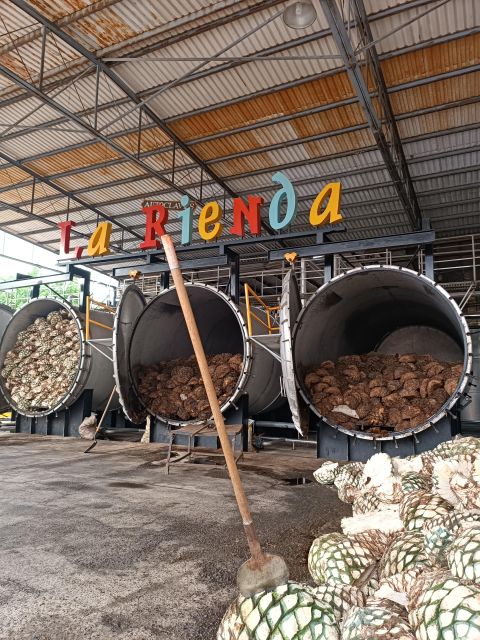 Get on Chile: Know Everything About Tequila in La Rienda