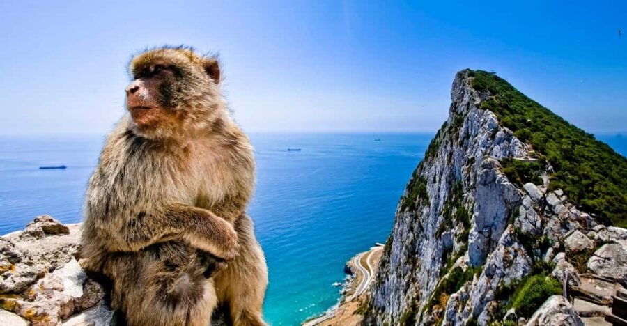 Gibraltar and Vejer: Private Day Trip From Seville