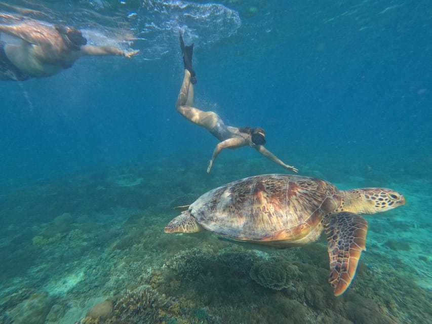 Gili Island Private Snorkeling & Visit Baby Turtles - Tour Overview and Pricing
