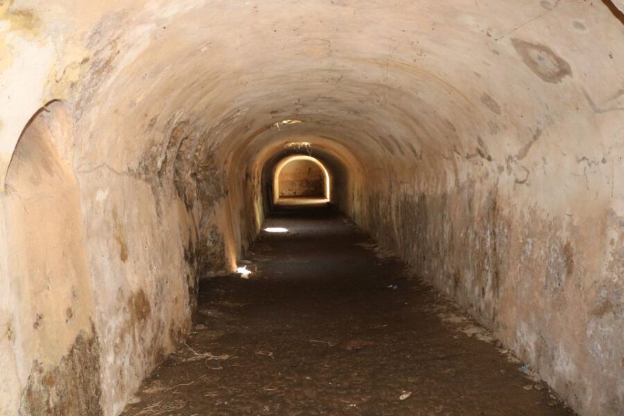 Gnatia Ruins and Archaeological Museum Private Guided Tour