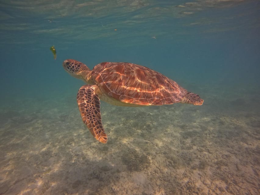Go Pro Snorkling Trip 3 Islands.