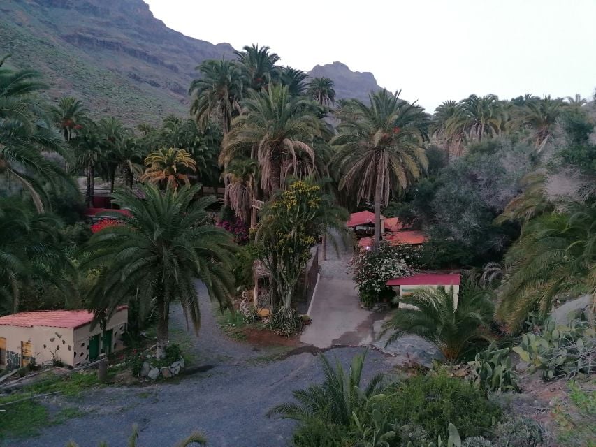 9 Best Safari Tours In Gran Canaria