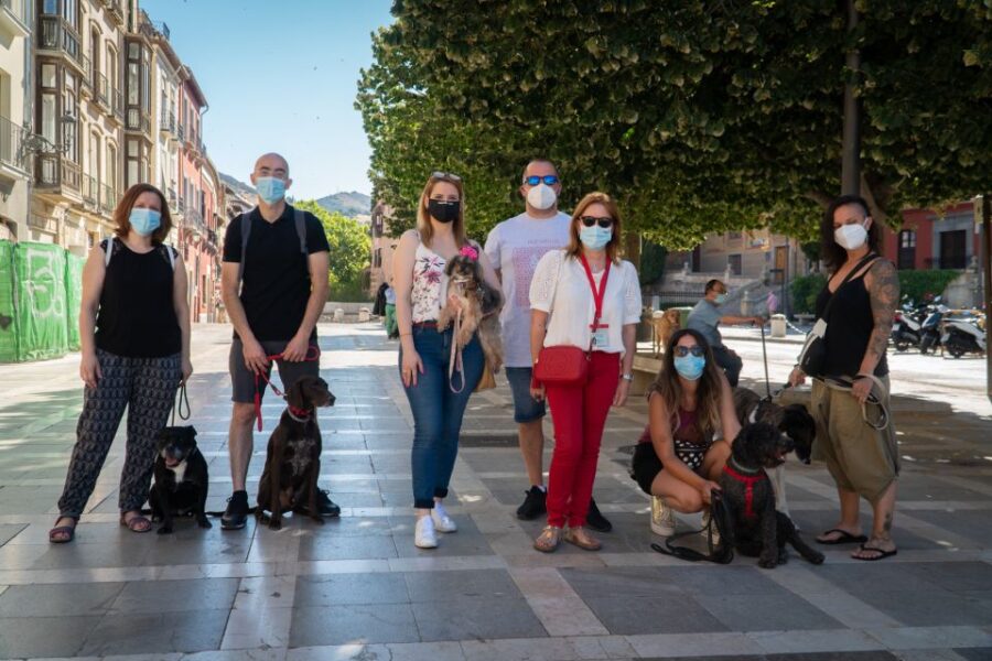 Granada: Guided Albaicín Visit With Pets