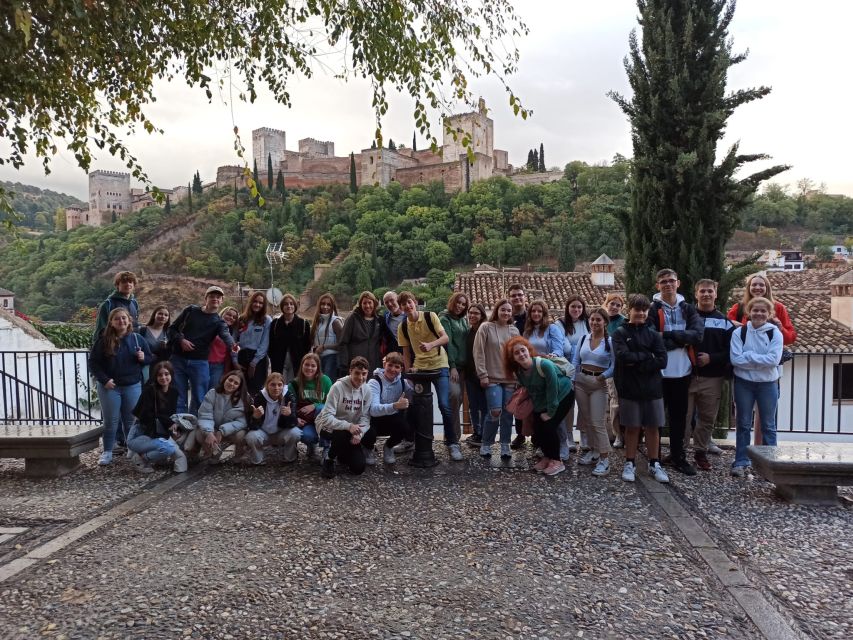Granada: Historic Center and Lower Albaicin Walking Tour