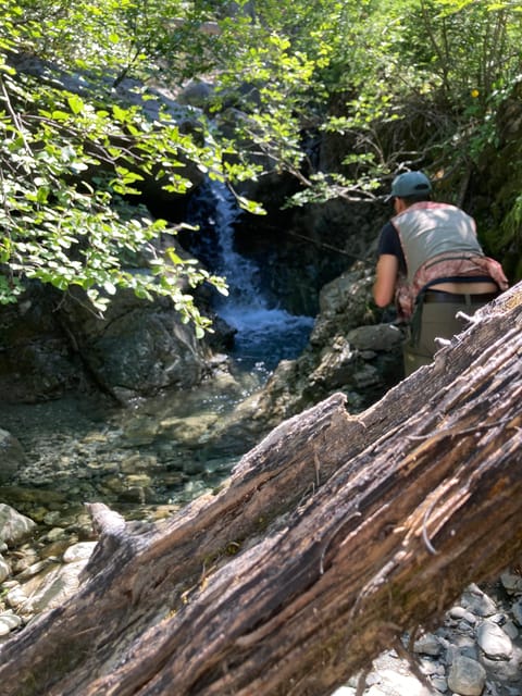 Grisons: Guided Alpine Fishing Tour (With or Without Hiking)