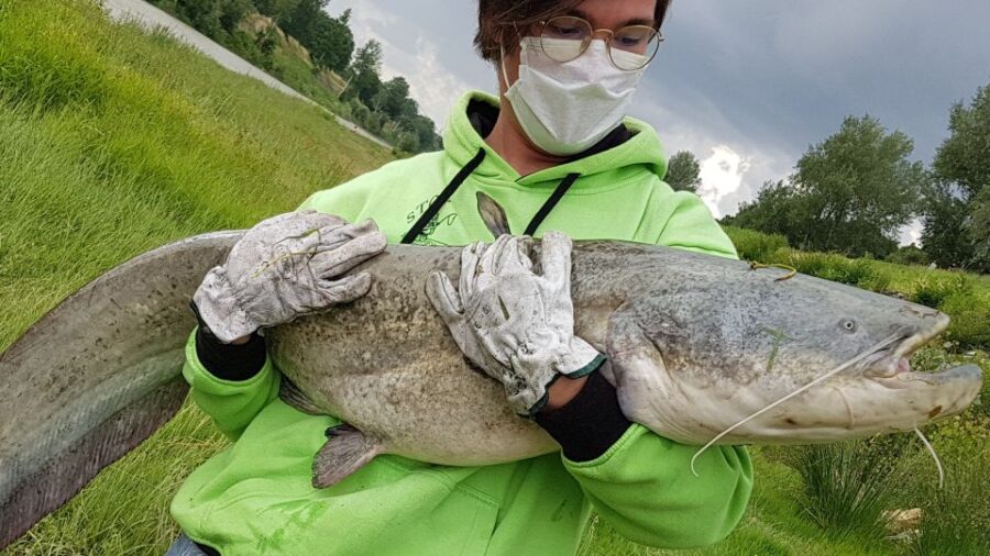 Guided Fishing Session in Florence - Activity Overview
