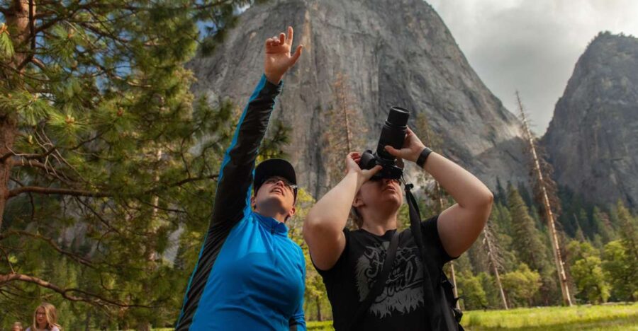 2 Best Guided Tours In Oakhurst