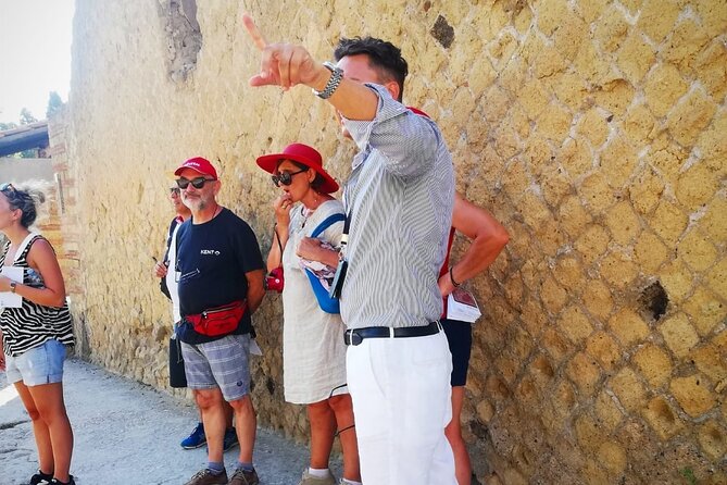 Guided Tour of Herculaneum With an Expert Archaeologist - Tour Overview