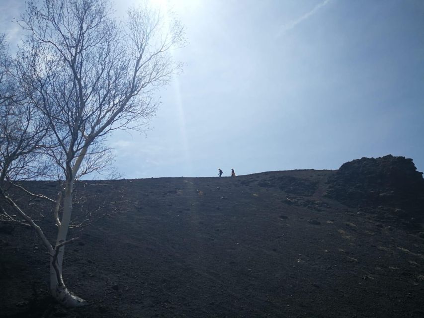 Guided Trekking on Etna Volcano With Transfer From Syracuse - Tour Overview