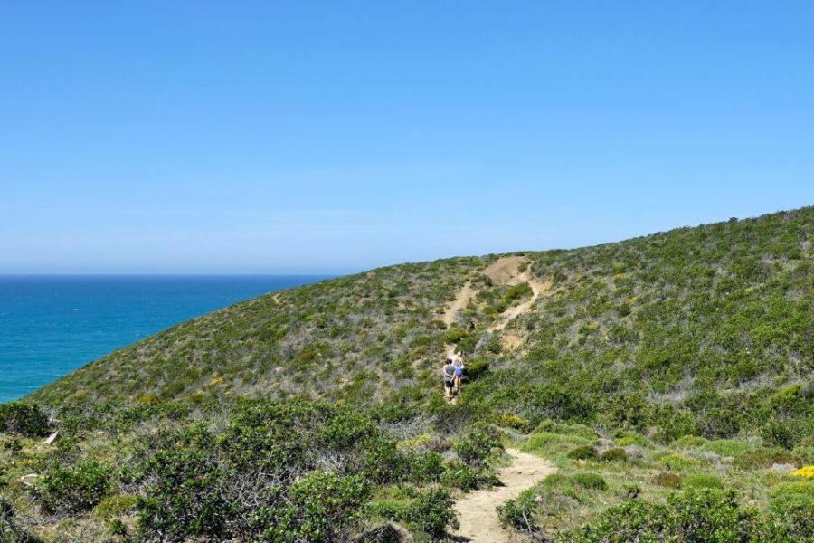 Guided Walk+Picnic: Western Algarve’s Wild Beauty