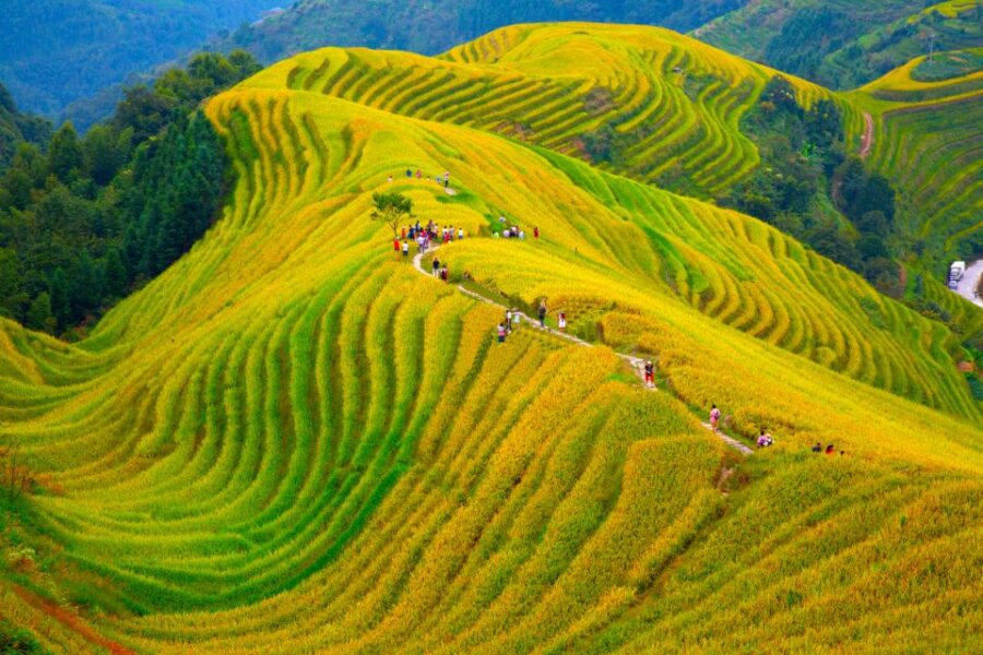 Guilin Longji Terraces Private Day Tour