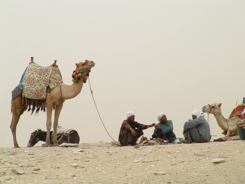 Half-Day Cairo Sightseeing Tour to Pyramids of Giza & Sphinx