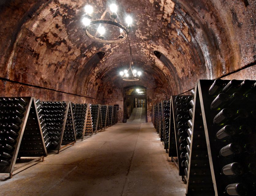 Half-Day Food and Wine Experience in Franciacorta - Itinerary Details