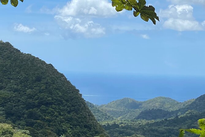 Half Day Grenada Seven Sisters, Grand Etang Nature Center Hiking Tour - Tour Overview