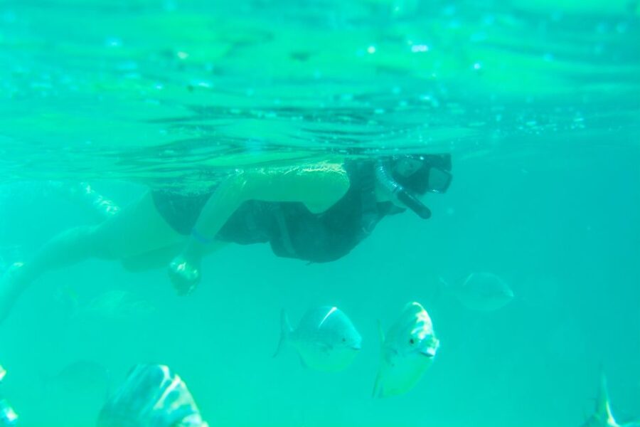 Half Day Guided Snorkel Tour in Los Cabos - Tour Overview
