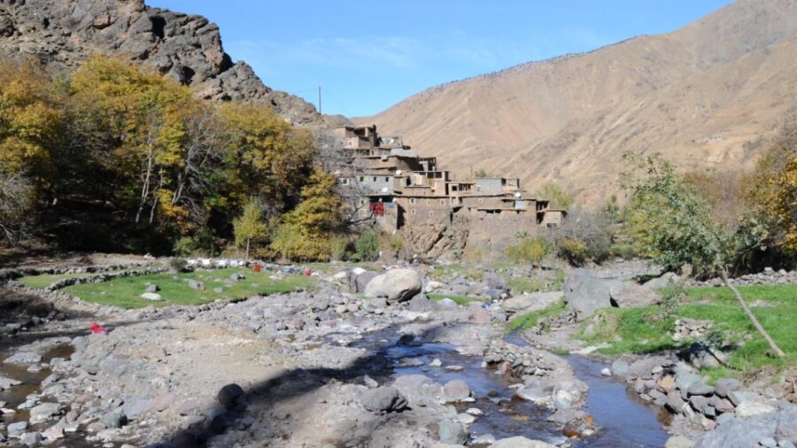Half Day Guided Trek Departure From Imlil - Trek Overview and Pricing