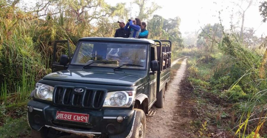 Half Day Jeep Safari in Chitwan National Park