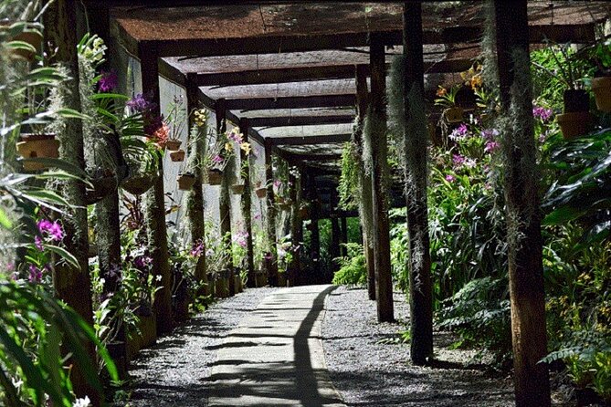 Half Day Mudpools, Veseisei Fijian Village, Gardens of Sleeping Giants &Shopping