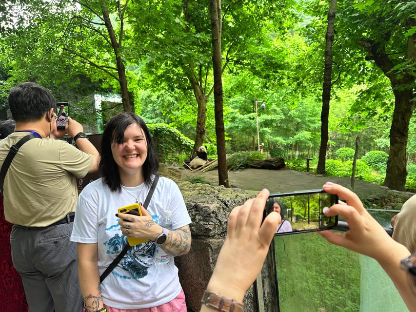 Half-day Panda Private Trip+Ancient Town - Trip Overview