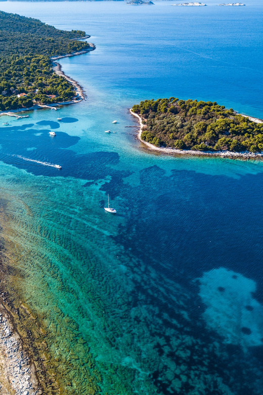 Half Day Tour (Blue Lagoon, Drvenik, Maslinica Bay)