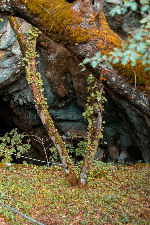 Half-Day Tour to Klis Fortress and VranjačA Cave