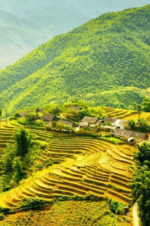 Hanoi 5-Day Trip : Sapa-Ninh Binh-Halong Bay 5-Stars Cruise - Trip Overview