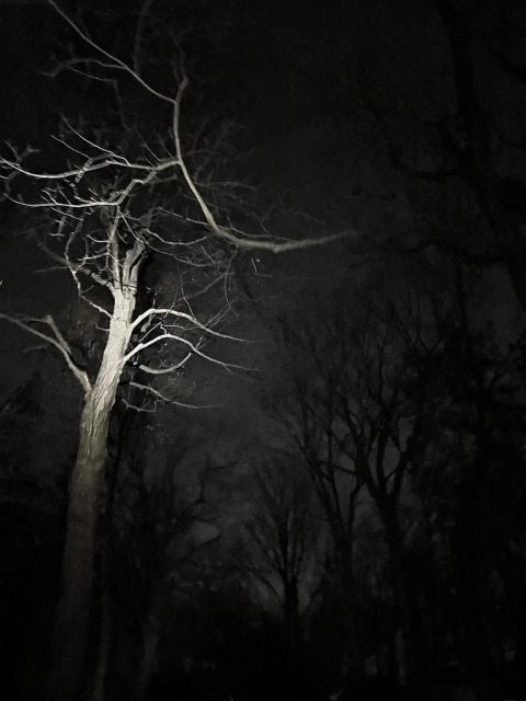 Haunted Mountain Ghost Walking Tour - Tour Overview