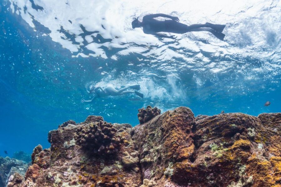 Hawaii: Puuhonua O Honaunau & Kealakekua Bay Snorkel Tour - Tour Overview