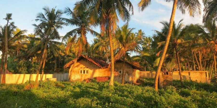Heeloya Village: All Inclusive Trekking With Lunch!