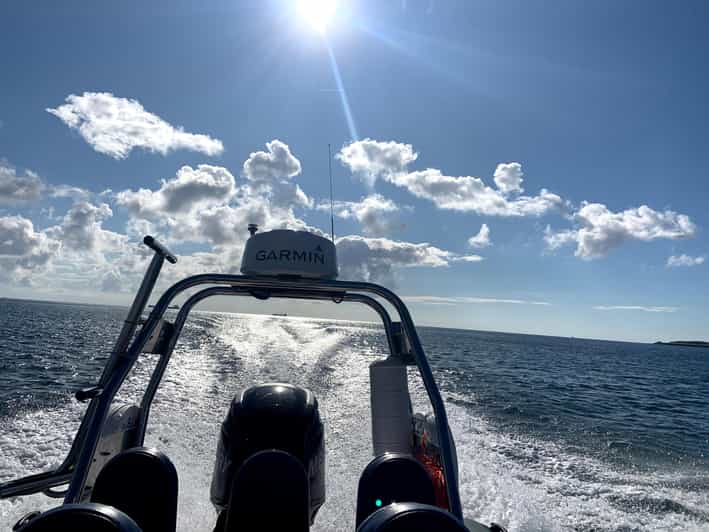 Helford: Half Day RIB Tour