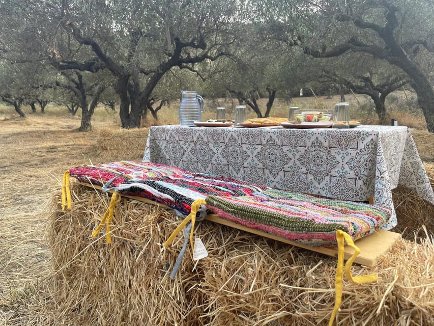 Heraklion: Cretan Farmers Brunch and Olive Grove Tour