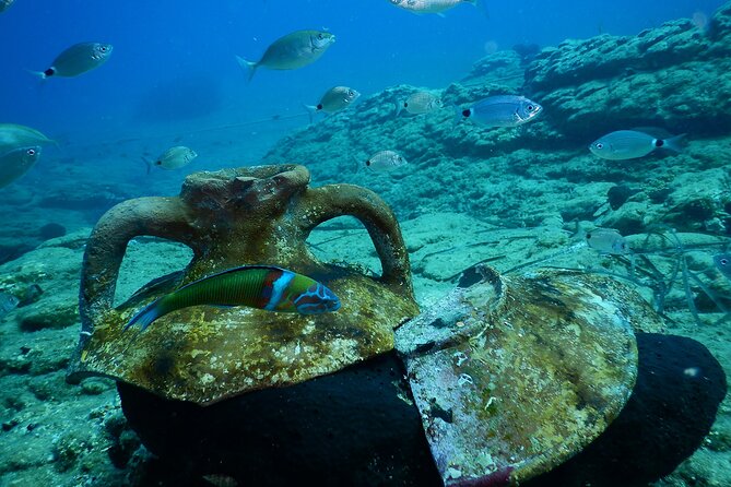 Heraklion: Scuba Diving Experience for Beginners - Location and Activity Overview