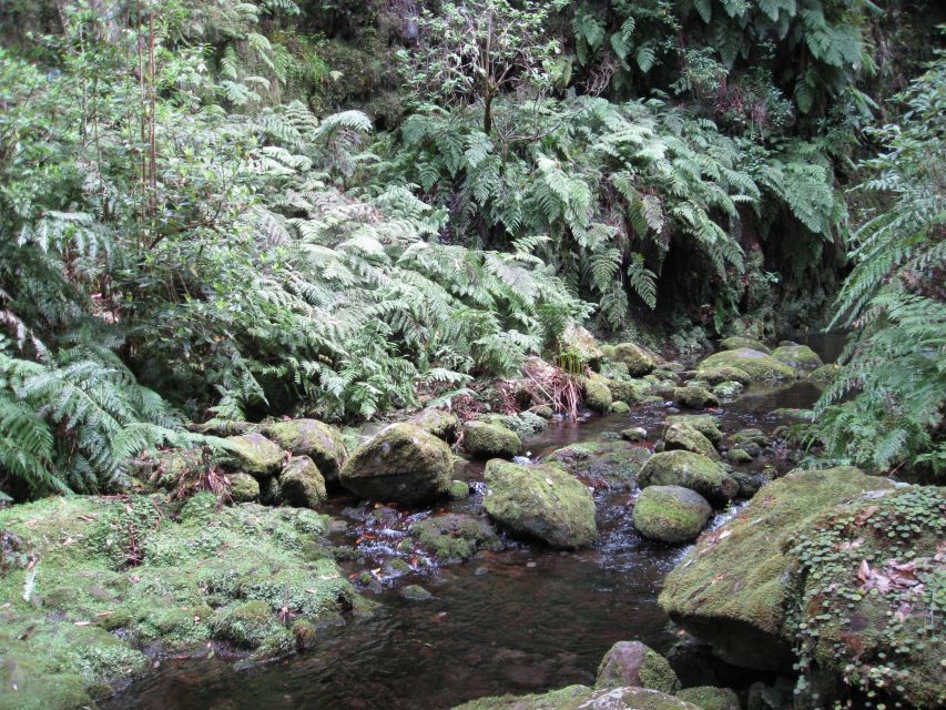 Hidden Corners, the Kings Levada Full Day Hike