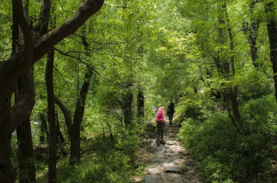 Hiking Day Tour to Triund From Dharamshala