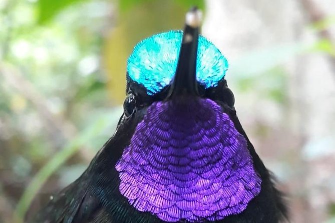 Hiking to Curi-Cancha Reserve - Private Guided Tour Details