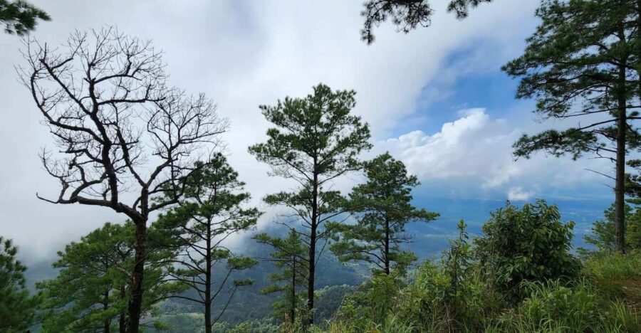 Hiking to Doi Suthep Peak & Delectable Cuisine & Wat Pha Lat.