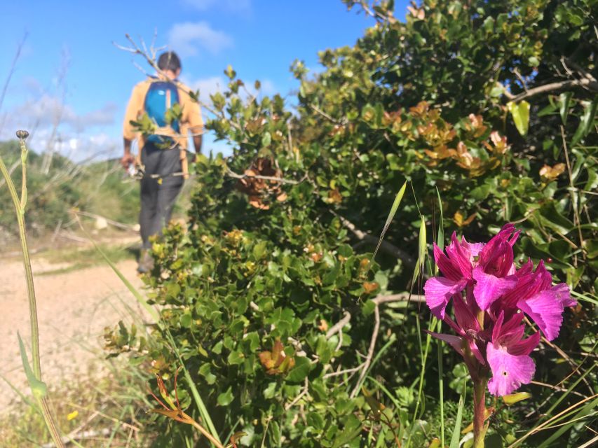 Hiking Tour to Highest Limestone Cliff in Europe