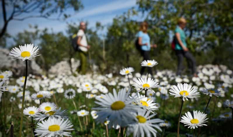 7 Best Tours In Brac Island