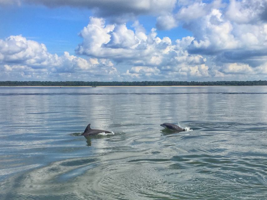 Hilton Head Island: 2-Hour Guided Creek Cat Tour - Tour Experience Overview