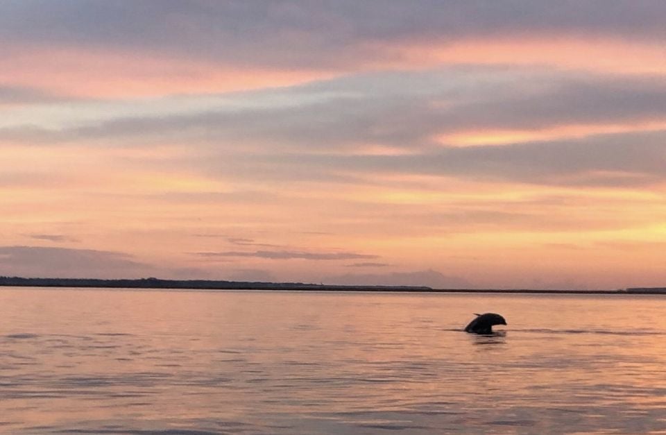 Hilton Head Island: Sunset Creek Cat Boat Tour - Tour Overview