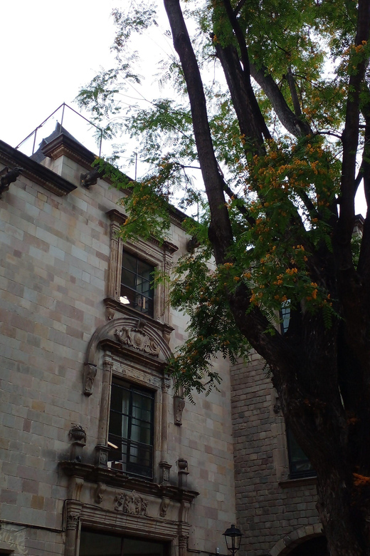 History and Hidden Shops of Barcelona