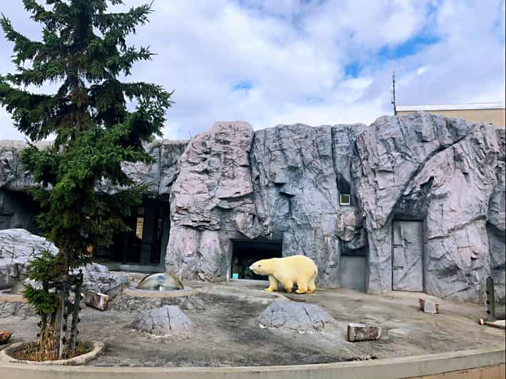 Hokkaido Asahiyama Zoo, Biei, Aoike, Elf Terrace Day Tour - Tour Overview