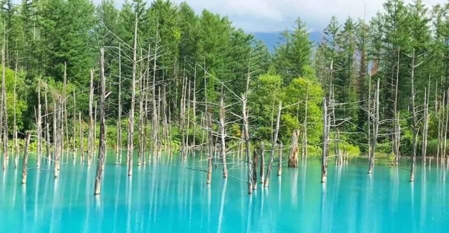 13 Best Tours In Hokkaido