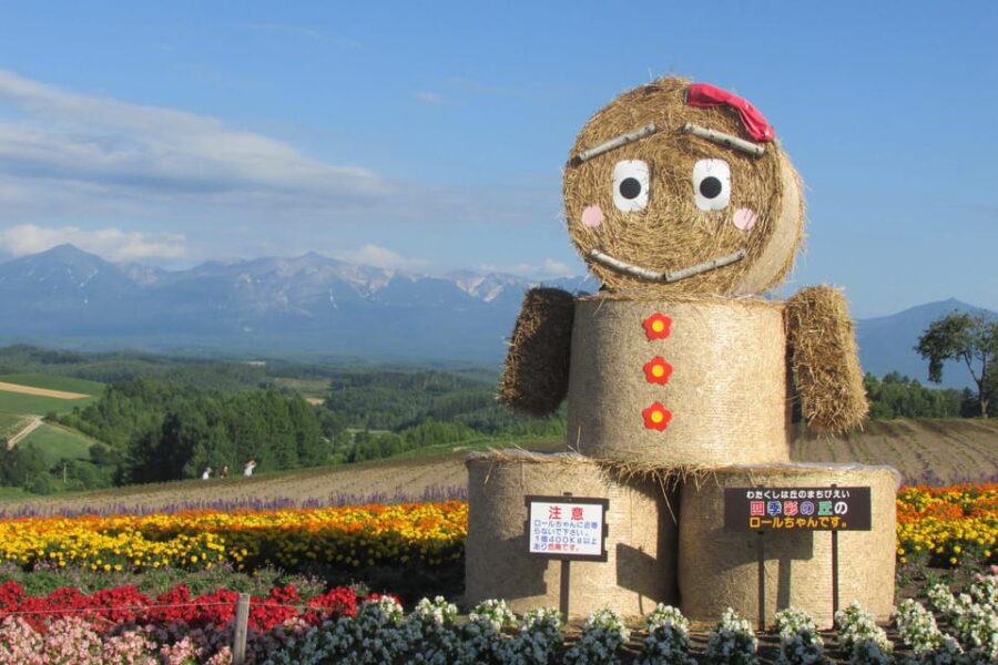 Hokkaido Furano Tomita Farm Tour With Melon Buffet Option - Tour Details